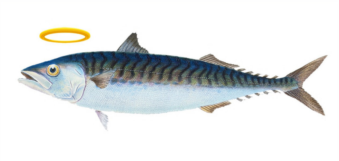 Holy Mackerel Meme